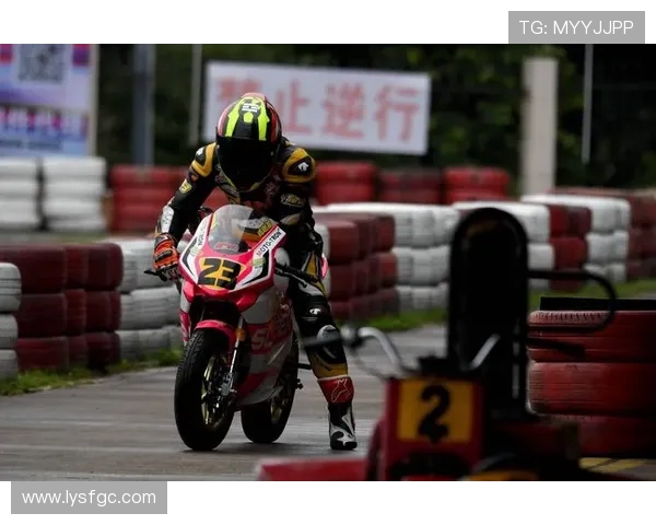 马来西亚足球队迎战韩国队力争在国际赛场上取得佳绩