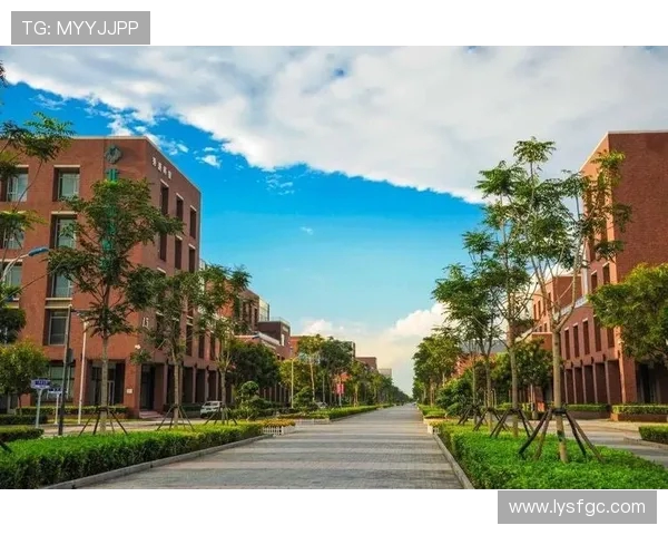 上海排球队耐力创新高引发全国关注成就斐然