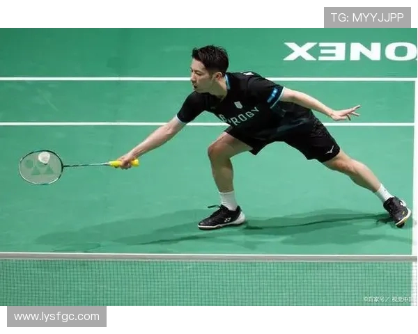 南京羽毛球队节奏分析与发展策略探讨